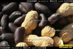 ��ֲ�����黨��Ч��� һ���ۼ�15Ԫ