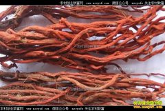 ���ζ���Ǯһ�2017��6��19�����µ��μ۸�����