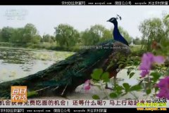 [ÿ��ũ��]ɽ��������ֳ��ȸ���������Ƹ�