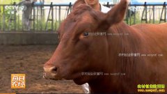 [ÿ��ũ��]���ĺ������޽ǵ��ش���ţ������