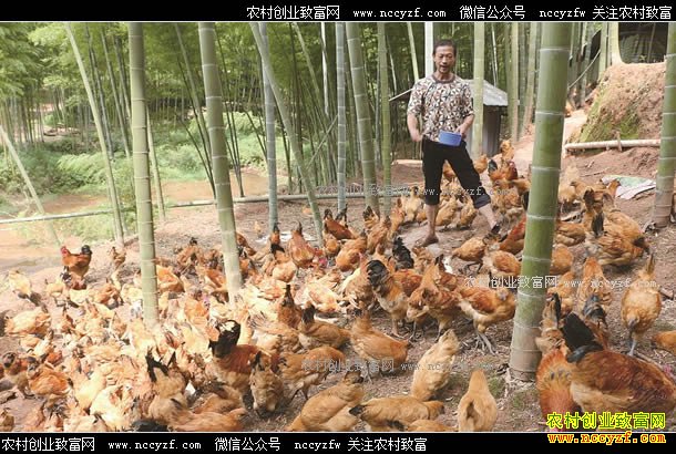 �Ĵ����ݺ���Զ���������ֳ��ҩ��׬����