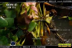 [ÿ��ũ��]�����γ������������ ũ������������