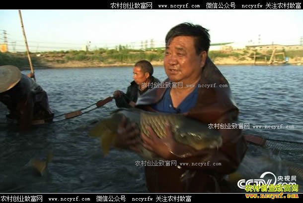 [�¸���]���������������ɵ�㷢ţ��