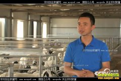 [�¸���]�ӱ��żҿ���������ҵ�������