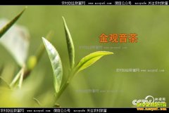 [�¸���]�����Ͼ������񴺺�����֯������޼�֮��