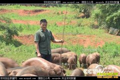 [�¸���]����������������ֳ������ҵ�¸�