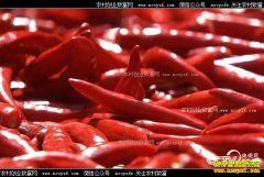 [�¸���]�㽭��ˮ���������������ֹ�����������ǧ��Ԫ