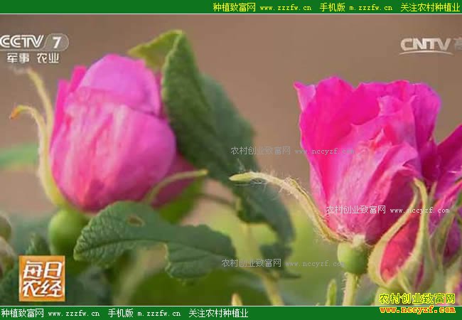 [ÿ��ũ��]õ�廨�ĲƸ��ؾ� 20170620