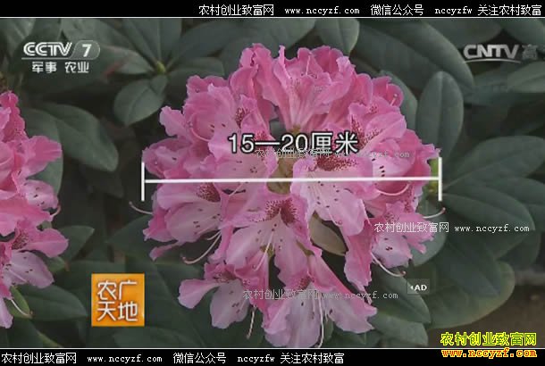 [ũ�����]��ɽ�ž����Լ��� 20170619