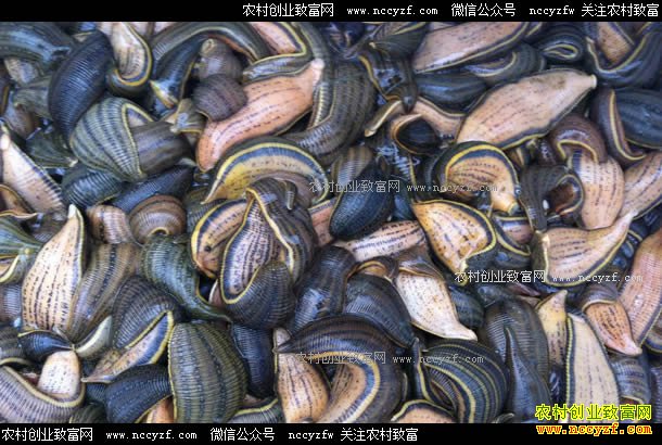 ɽ�����������¡���������ˮ����������ʮ��