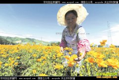 �ӱ�Χ������ֲ��������ũ���¸�����Ŀ