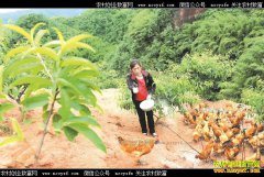 �Ĵ�����ũ��Ů���Ƚܷ��紴ҵ��԰����һ�ٶ��