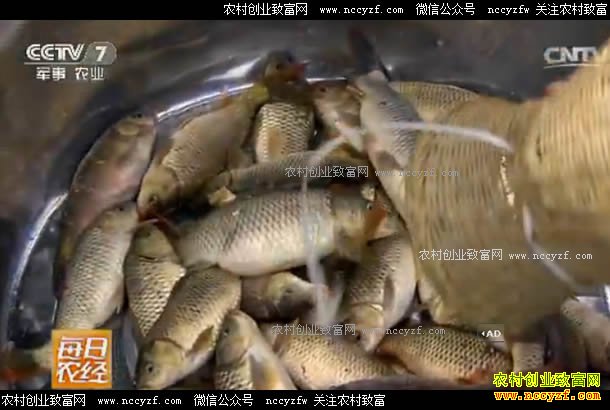 [ÿ��ũ��]������ɽ��Ѱ����կ������