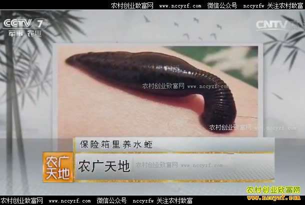 [ũ�����]���������⽭����ΰ����������ˮ�� 20170623