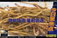 [�۽���ũ]ʯ����ֲǰ�����飺ʯ��Ϊ�Ρ�����������