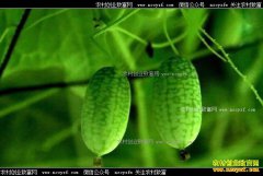 ������޴�ѧ�������������ֲĴָ����Ķ��ֵ��10��Ԫ