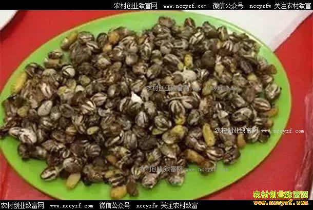 �������ܳ����������׳渻���ߵ���ÿ���ۼ�200Ԫ