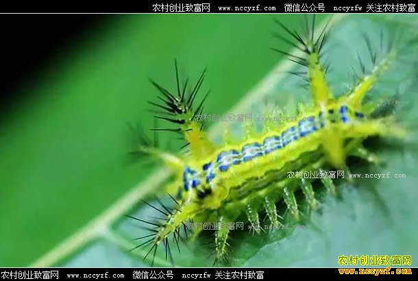 �������ܳ����������׳渻���ߵ���ÿ���ۼ�200Ԫ