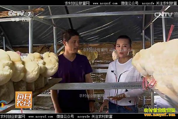 [ÿ��ũ��]����Ժ�ĺ�ͷ����׬Ǯ 20170703