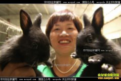 [�¸���]�����Ϻ�����ϱ����������ֳ��������4000��Ԫ