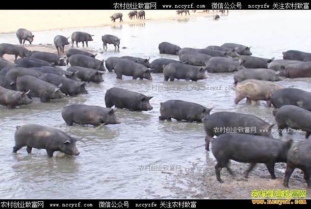 [�¸���]�ϵ����ر𰮺��ö��ӿ���6000�� 20170703