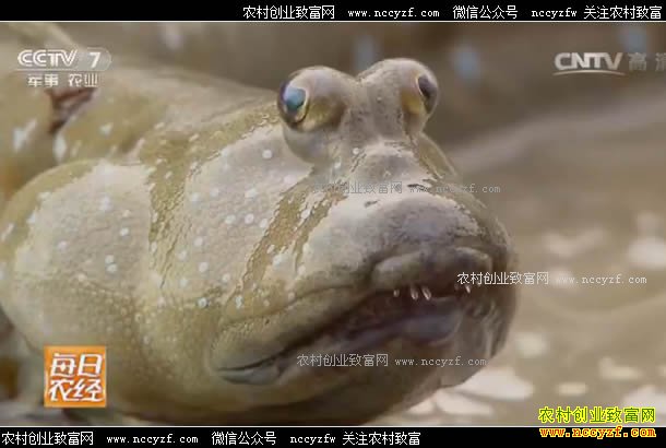 [ÿ��ũ��]��ˮҲ������������ܻ�ӭ 20170704