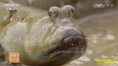 [ÿ��ũ��]�㽭�����أ���ˮҲ������������ܻ�ӭ