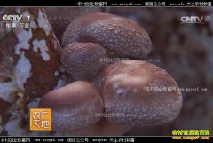 [ũ�����]ɽ�����������ԪԪ���㹽��ҵ�¸�