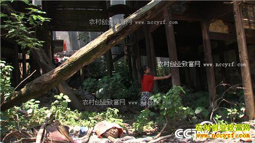 �¸�����ʰ��Ů��կ��̽��(20170710)