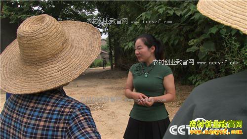 �¸�����ʰ��Ů��կ��̽��(20170710)