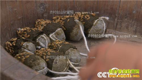 �¸�����ʰ��Ů��կ��̽��(20170710)