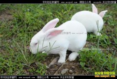 �㶫÷�ع������������ؿ��¸�·