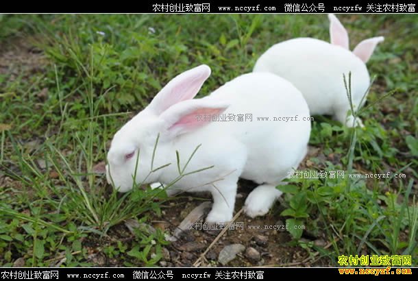 �㶫÷�ع������������ؿ��¸�·