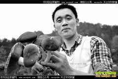 ����ǭ�����м̵��ݹȿ��ֳ���̬�ݹ�