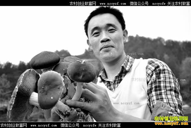 ����ǭ�����м̵��ݹȿ��ֳ���̬�ݹ�