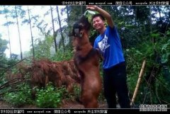 ����Ǳɽ��������ɽ������200ֻ������5��Ԫ