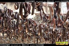 ��ˮ��׬Ǯ��2017��ˮ����ֳǰ�����ɱ�����