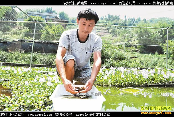 �Ĵ����ݳº���̬��ֳ��������20��Ԫ