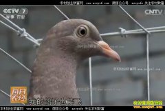 [ÿ��ũ��]�����������ֳ�Ʒɵ�������Ǯ