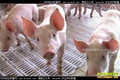 [�¸���]ɽ���Ͳ�244�����Ϻ��߹��������ɾ�׬��Ǯ