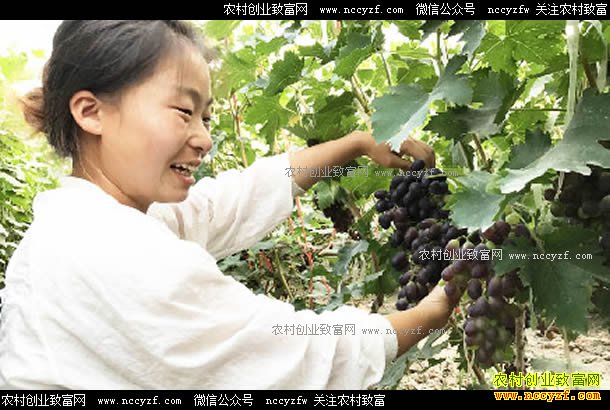 ɽ��۩���������������괿����20����