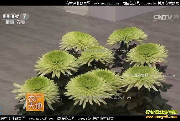 [ũ�����]���;ջ������� 20170717