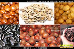 �ӱ����ؼֺ�ɳ��������ĺ�����