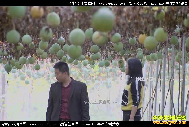 [�¸���]����Ǳɽ�½���ֲ����ĲƸ�����