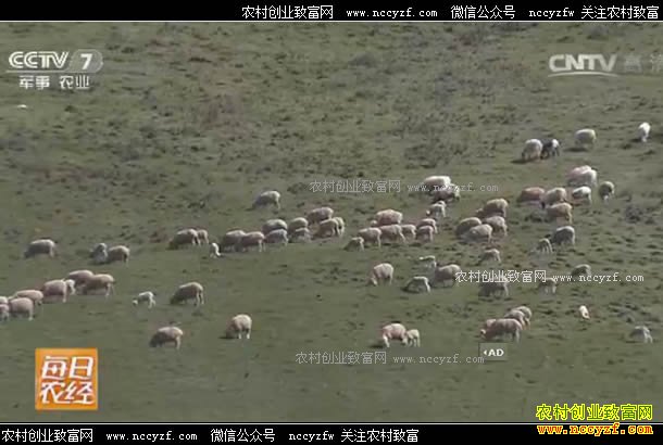 [ÿ��ũ��]�����ÿ� �����������������