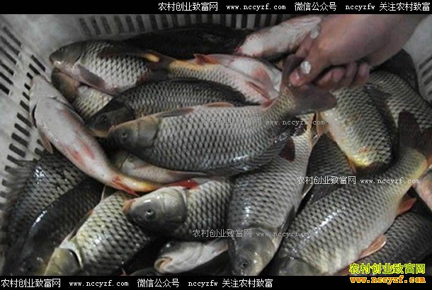 ����ᶼ��ˮ��۸�ͬ������