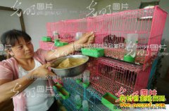 �ӱ�����������Ӣ��ֳ��ȸ������20����Ԫ