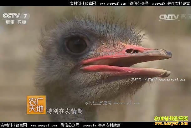 [ũ�����]�ӱ�ʯ��ׯ������������ʵ�ֲƸ�����