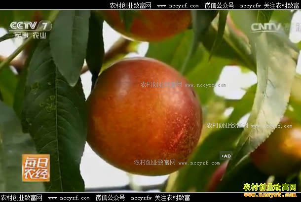 [ÿ��ũ��]���ⶼ�Ƶ����� �����������۸�