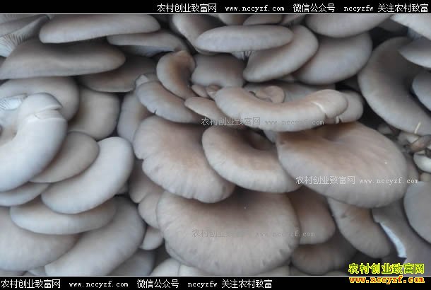 �����ϴ�ƽ���۸�Ӹ߲���